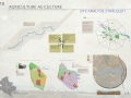 4a_Colentina_110.jpg