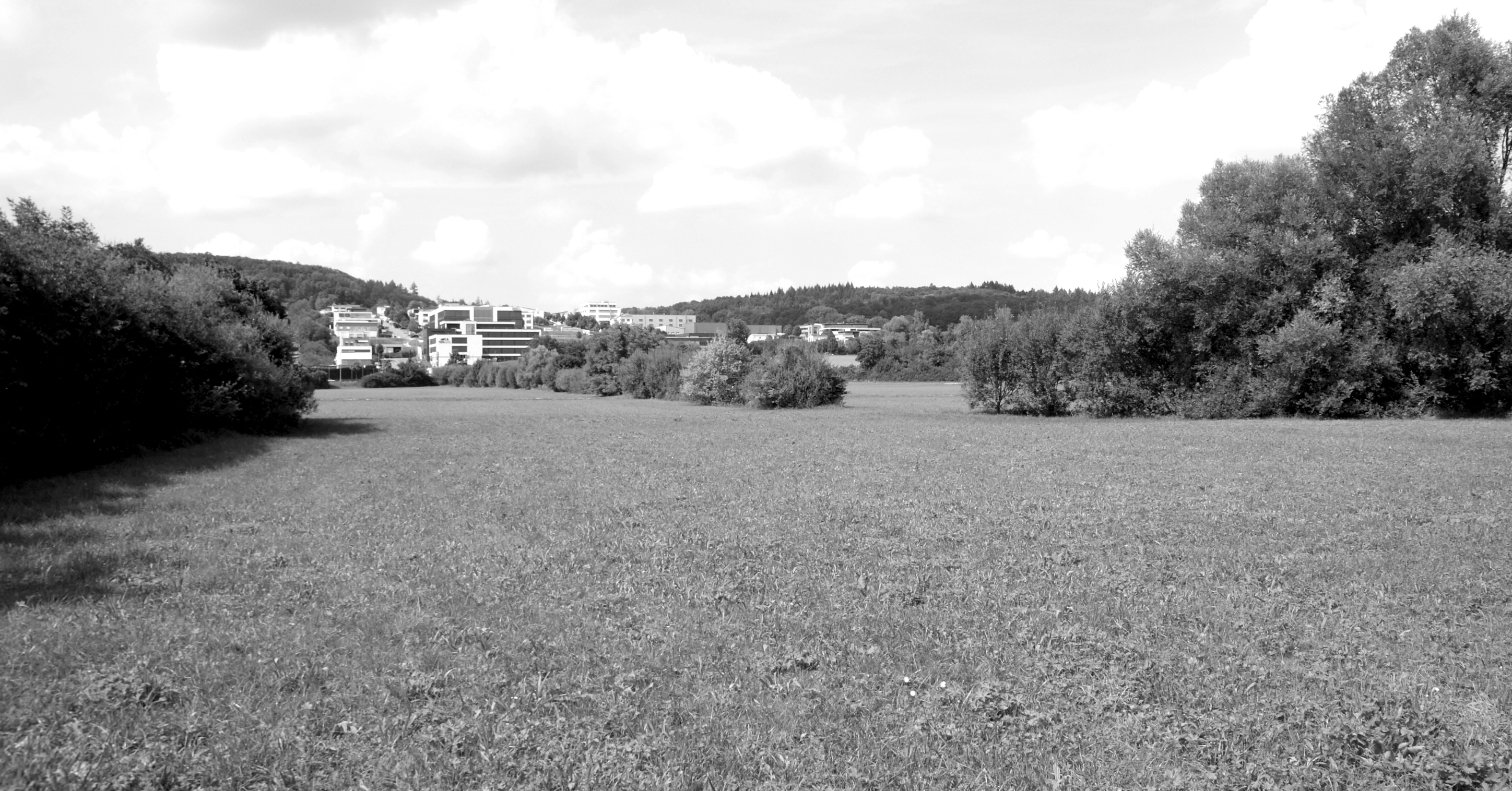 Landscape in Nürtingen Green Belt