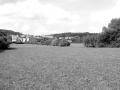 Landscape in Nürtingen Green Belt